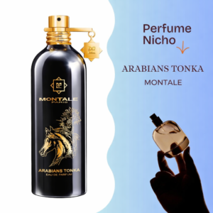 Arabians Tonka - Montale